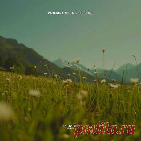 VA – Best of 3rd Avenue｜Spring 2025 [3AVLP084] free download mp3 music 320kbps