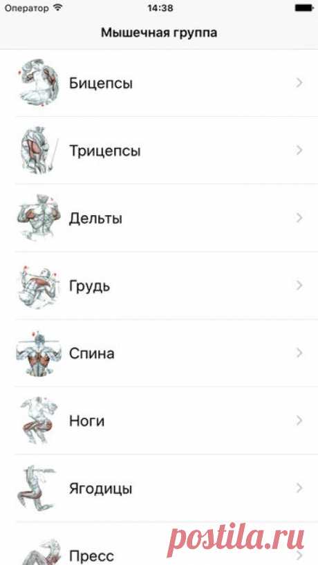 [Sale-iPhone] FitAdvisor Делайте упражнения правильно. Самые популярные и эффективные упражнения для тренировок. Идеальное руководство тому, кто любит фитнес и бодибилдинг. Твой персональный тренер у тебя в кармане! 149 руб. -&gt; 75 руб. Ссылка: ====================== #app_store #распродажа@app_4u