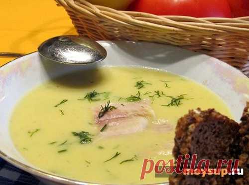 Суп-пюре из курицы — что может быть вкуснее
