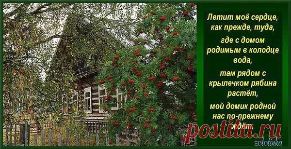 ...Моя малая Родина,
Деревенька моя,
Вновь тобой восхищаюсь я,
Память в сердце храня,
Ностальгия по прошлому
И в висках седина,
Моя малая Родина,
Ты на свете одна!...