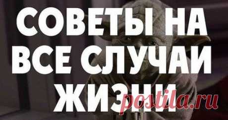 Полезные советы на все случаи  в кипящий уксус.
5. Помещение, которое только что оклеили обоями, несколько дней нельзя проветривать, иначе обои начнут пузыриться и откл