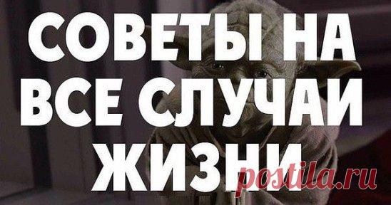 Полезные советы на все случаи жизни:
Ремонт квартиры
1. Гвоздь легко вбивается, если его острие окунуть в растительное масло.
2. Если в раствор цемента добавить сахар, он станет значительно крепче.
3. Алебастр, разведенный молоком, дольше застывает - им легче заделывать щели щеткой.
4. Если щетка для масляных работ очень жесткая, нужно на 1 минуту опустить ее в кипящий уксус.
5. Помещение, которое только что оклеили обоями, несколько дней нельзя проветривать, иначе обои начнут пузыриться и откл