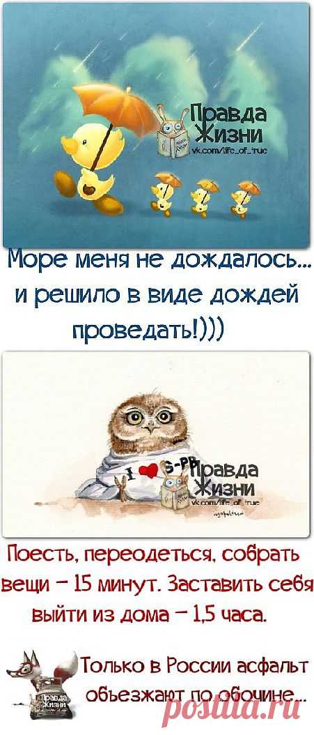 ПРИКОЛЬНЫЕ ФРАЗЫ В КАРТИНКАХ 2.