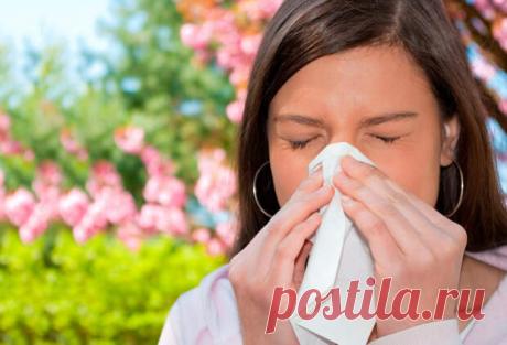 Лечим насморк за два дня - ЖЕНСКИЙ  МИР - медиаплатформа МирТесен Говорят, если лечить насморк, он проходит за неделю, а если не лечить – за 7 дней. А мы вылечим за два дня! Главное – не лениться! Лук — Разрежьте луковицу, между чешуйками есть прозрачная пленка похожая на целлофан – она-то нам и нужна. — Осторожно снять её и вложить в ноздрю, не