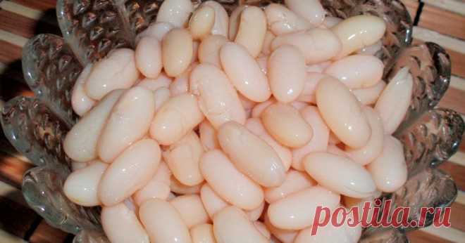 Як правильно варити квасолю: виходить ніжною, але не розвалюється | ОТОЖ Квасоля – один з базових продуктів, який повинен бути в кожному домі. При цьому продукт може роками стояти на полиці в очікуванні, коли ж його нарешті зварять. Причина проста: бобові, а особливо горох і квасоля, викликають здуття живота і підвищене газоутворення. Багато людей приймають це як даність, але причина в тому, що все залежить від приготування квасолі. Не важливо, якого вона …