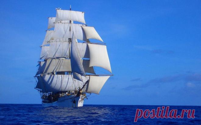 (48) Одноклассники