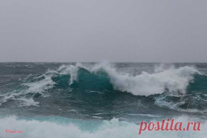 Фотографии пользователя Frank