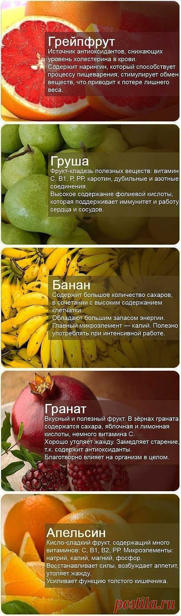 «Чтобы оставаться в форме, необходимы покой, хорошая еда и, самое главное, никакого спорта». УИНСТОН  | Вкуснолог...