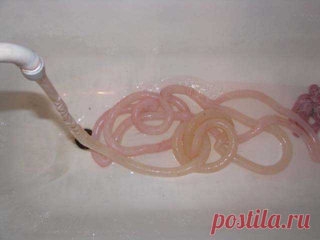 Фотокулинар - Рецепты Фото-Кулинаров - Колбаса домашняя (приготовленная двумя способами) и крупеник