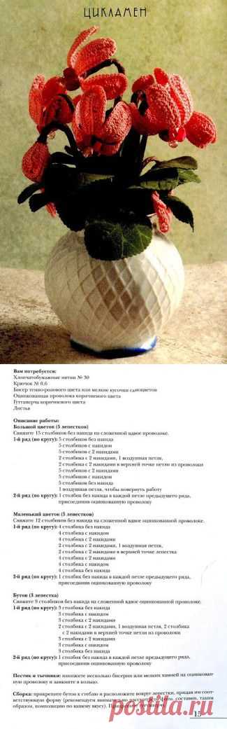 Цикламен.