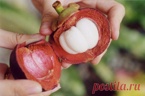 Самый вкусный фрукт в мире | Хитрости Жизни