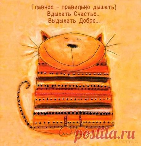 Картинки позитивные Чтобы улучшить настроение, человек часто прибегает к разным видам допинга. При малейшей неприятности все положительное расположение мгновенно улетучивается. Но существуют простые и доступные каждому ч...