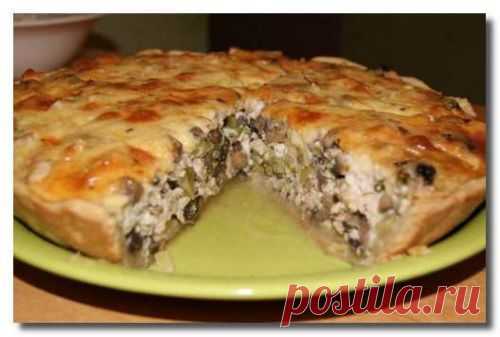 Очень вкусный пирог с курицей и грибами