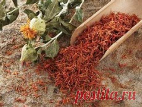 ШАФРАН И ИМБИРЬ