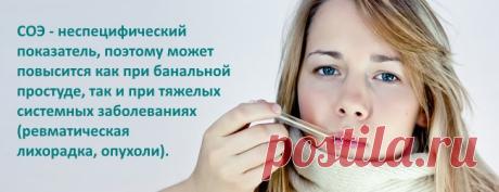 Скорость оседания эритроцитов (ESR) - что это такое, нормы в крови у мужчин, женщин и детей