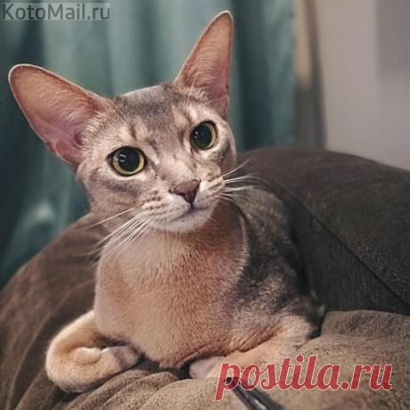 Когда фотогеничный от природы