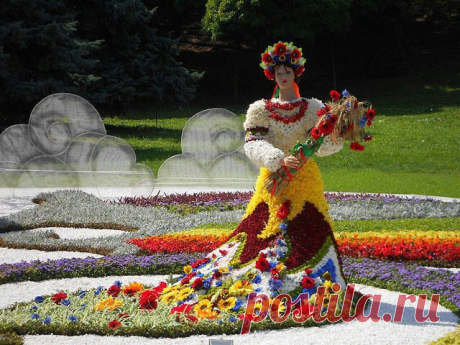 Светлана Болотова