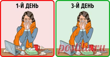 10 распространенных заблуждений о простуде — Наука