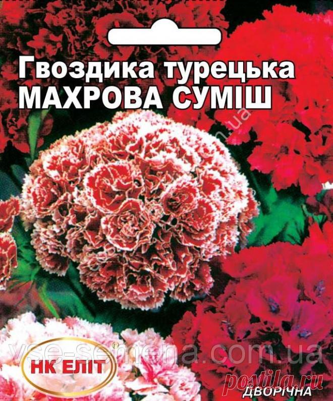 Гвоздика турецкая махровая смесь 0,3 г, цена 3 грн., купить в Краматорске — Prom.ua (ID#182813001)