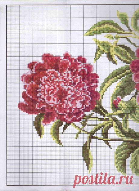 pic4you.ru | Фотохостинг с оплатой | Бесплатный хостинг картинок