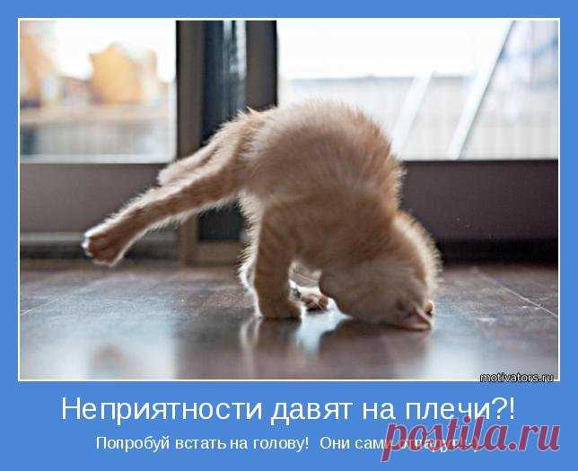 Пусть будут только удачи!