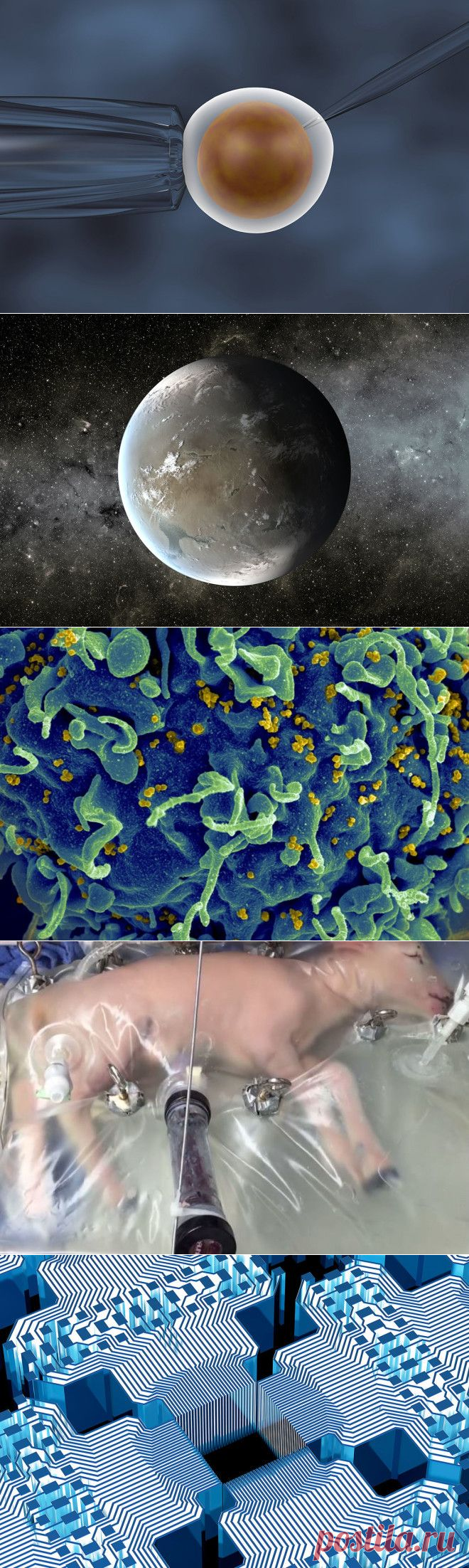 10 главных научных открытий 2017 года