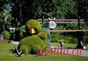 Спящий птиц.