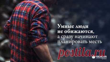Откровения мстительного интеллигента