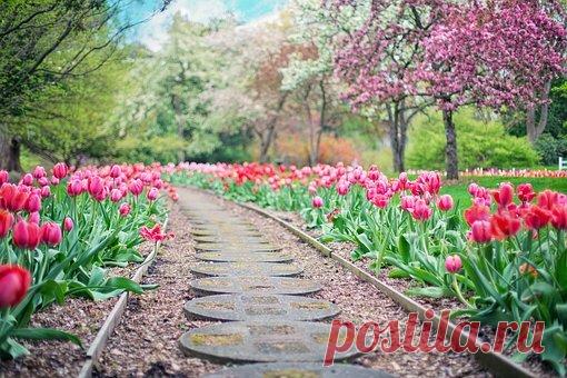 Научись этому, и твоя жизнь изменится навсегда | Финансовый помощник | Яндекс Дзен