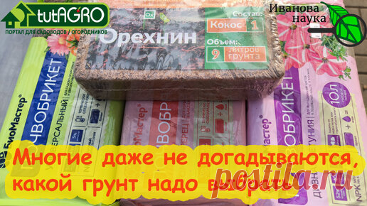РАССАДА КРЕПКАЯ, КОРНИ ТОЛСТЫЕ и ПУШИСТЫЕ. В какой грунт посеять семена на рассаду: правило рабочего корня. | Иван Русских | Дзен