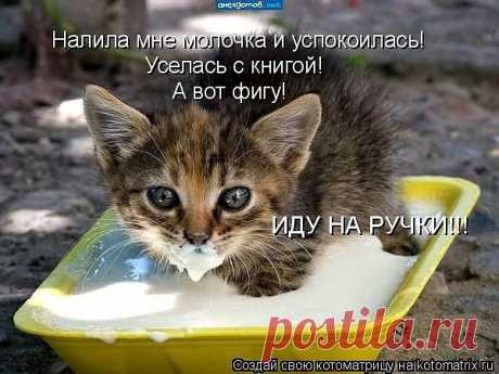 Хи-хи-хи...ржака!
Александр Невский