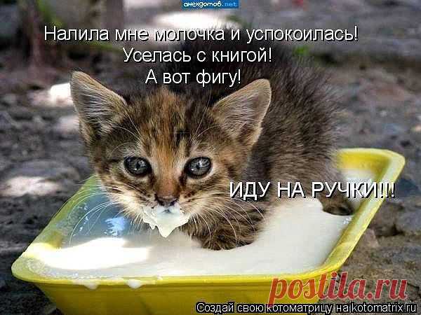 Хи-хи-хи...ржака!
Александр Невский