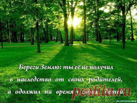 Хлебосольные хозяйки | рецепты | кулинария