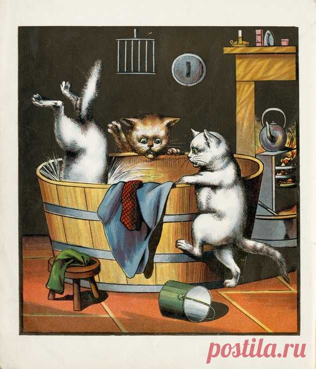 3 little kittens.