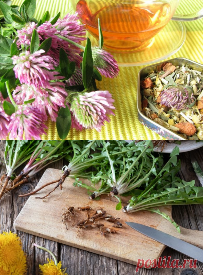 Как снизить уровень сахара в крови и удерживать под контролем