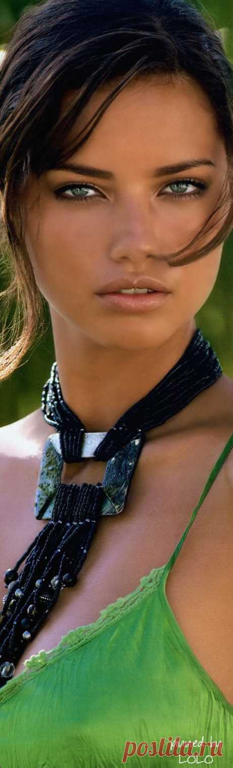 (351) Pinterest