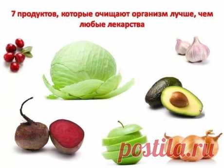 7 продуктов, которые чистят организм лучше любых лекарств - Все обо Всем Острый вопрос очищения организма часто доводится до абсурда. Галоны масел, лимонного сока и препаратов приводят многих на больничные койки. Стоит подумать и обратить внимание на обычные продукты, которые очищают организм намного сильнее любых лекарств и при этом не способны ему навредить. Чем же питаться, чтобы достичь более сильного очищения организма? Белокочанная капуста Капуста включает в …