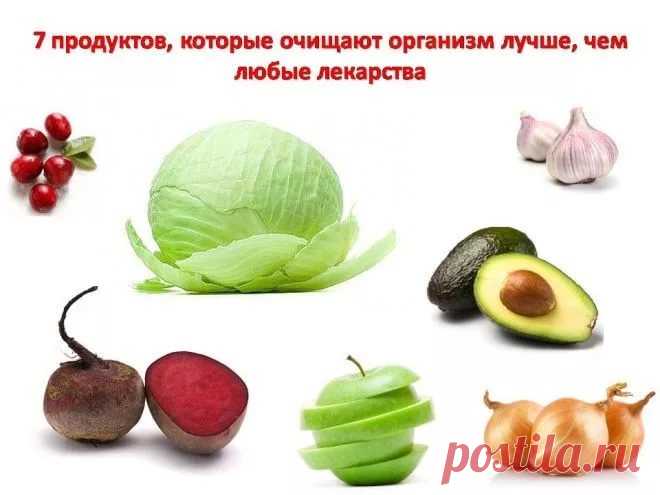7 продуктов, которые чистят организм лучше любых лекарств - Все обо Всем Острый вопрос очищения организма часто доводится до абсурда. Галоны масел, лимонного сока и препаратов приводят многих на больничные койки. Стоит подумать и обратить внимание на обычные продукты, которые очищают организм намного сильнее любых лекарств и при этом не способны ему навредить. Чем же питаться, чтобы достичь более сильного очищения организма? Белокочанная капуста Капуста включает в …