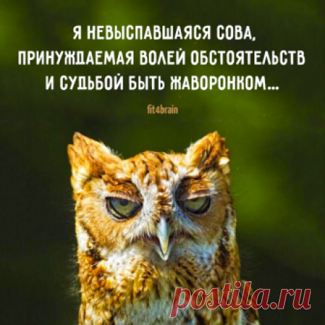 (74) Фитнес для мозга - Публикации