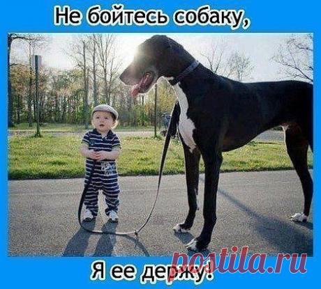 Юмор №1. Фото приколы