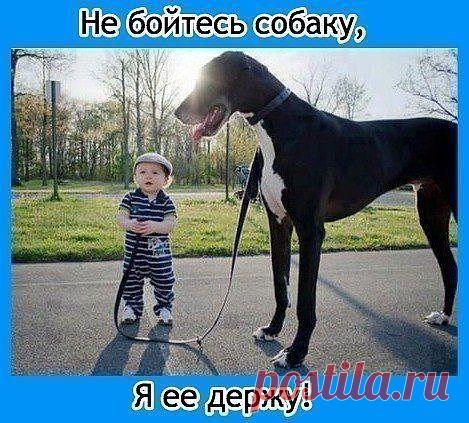 Юмор №1. Фото приколы