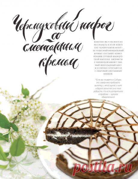 Книга Пироговедение для начинающих Ирина Чадеева - Читать онлайн - Online библиотека padaread.com
