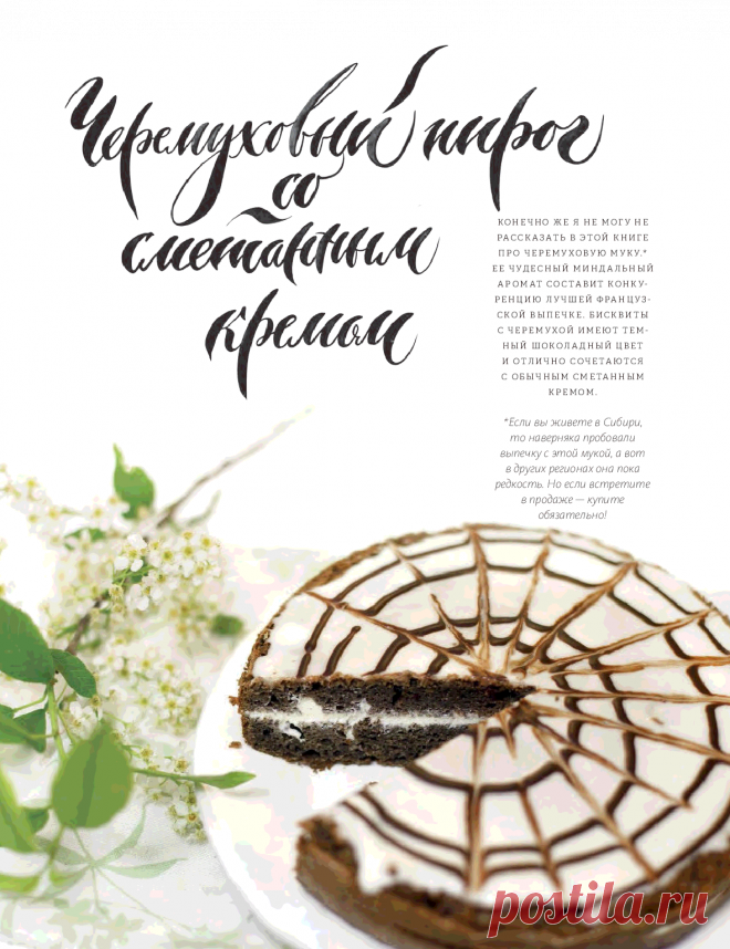 Книга Пироговедение для начинающих Ирина Чадеева - Читать онлайн - Online библиотека padaread.com