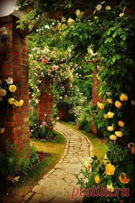 Joie De Vivre! Joy Of Pictures... Joy Of Earth