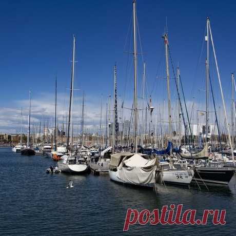 ⚓ Школа, где обучение превращается в захватывающее приключение
⛵ Опытные инструктора 🤩 Индивидуальный подход 💖 Приятные цены
💬 По всем интересующим вопросам 📧 info@sailskill.com 📞 +382 688 77656