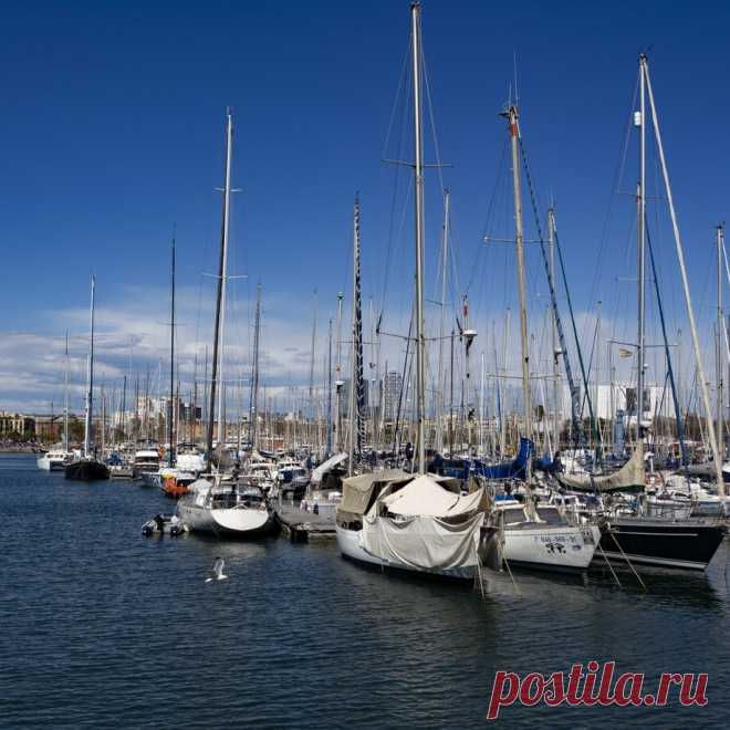 ⚓ Школа, где обучение превращается в захватывающее приключение
⛵ Опытные инструктора 🤩 Индивидуальный подход 💖 Приятные цены
💬 По всем интересующим вопросам 📧 info@sailskill.com 📞 +382 688 77656