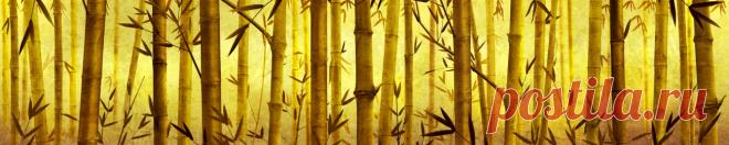 Скинали изображения для кухонного фартука Бамбук на золотом фоне. Фартук на  кухню Бамбук https://skinali.photo-clip.ru/skinali-na-kukhnyu/category/98