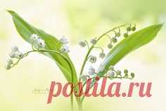 Pinterest • Всемирный каталог идей