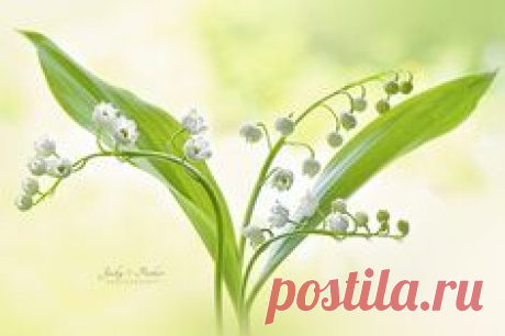 Pinterest • Всемирный каталог идей