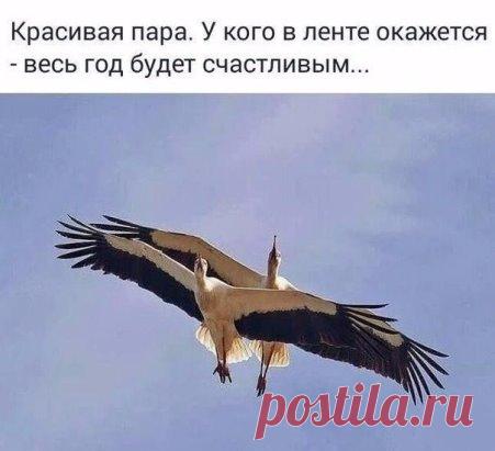 Один мудрый человек сказал: 